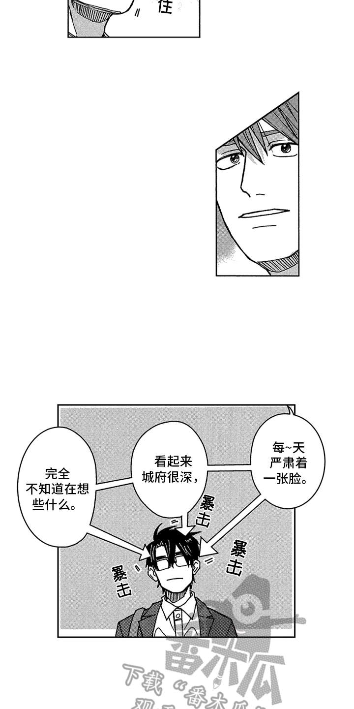 第6章：看法11