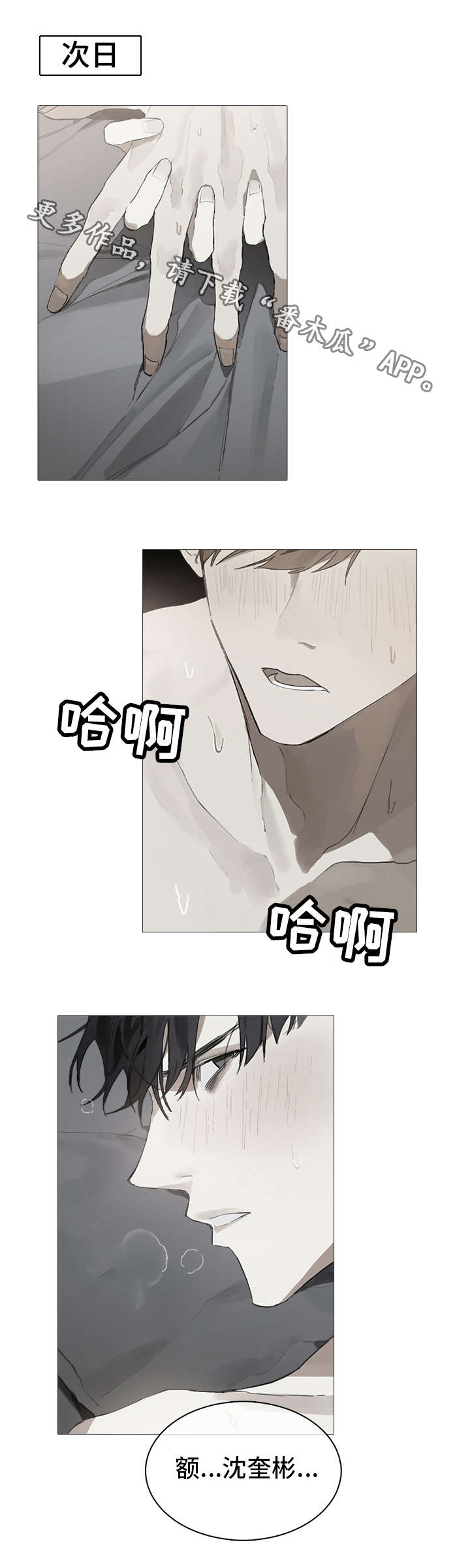 第17章：单纯8