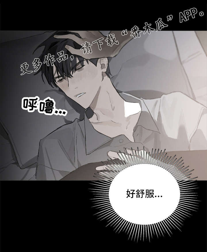 第12章：照料1