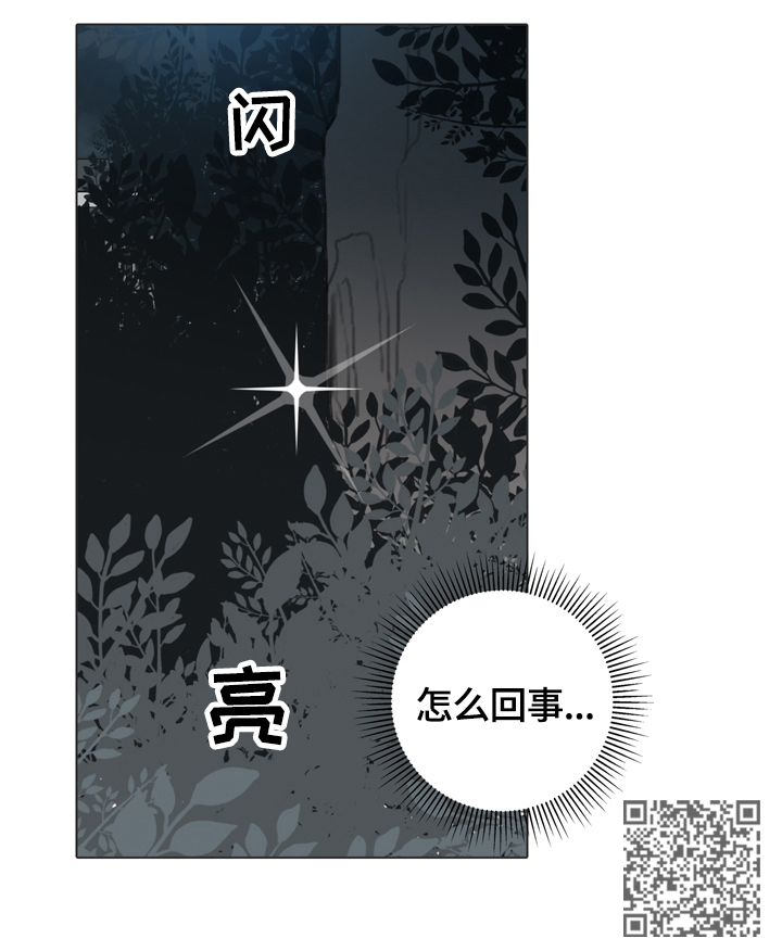 第65章：不解12