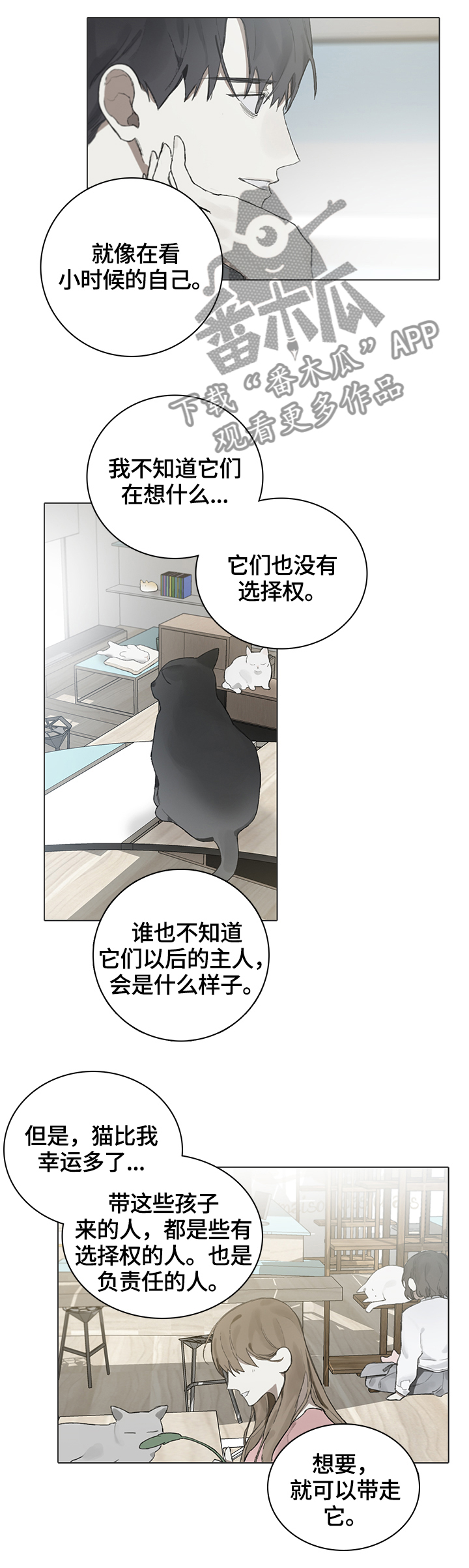 第62章：代替8