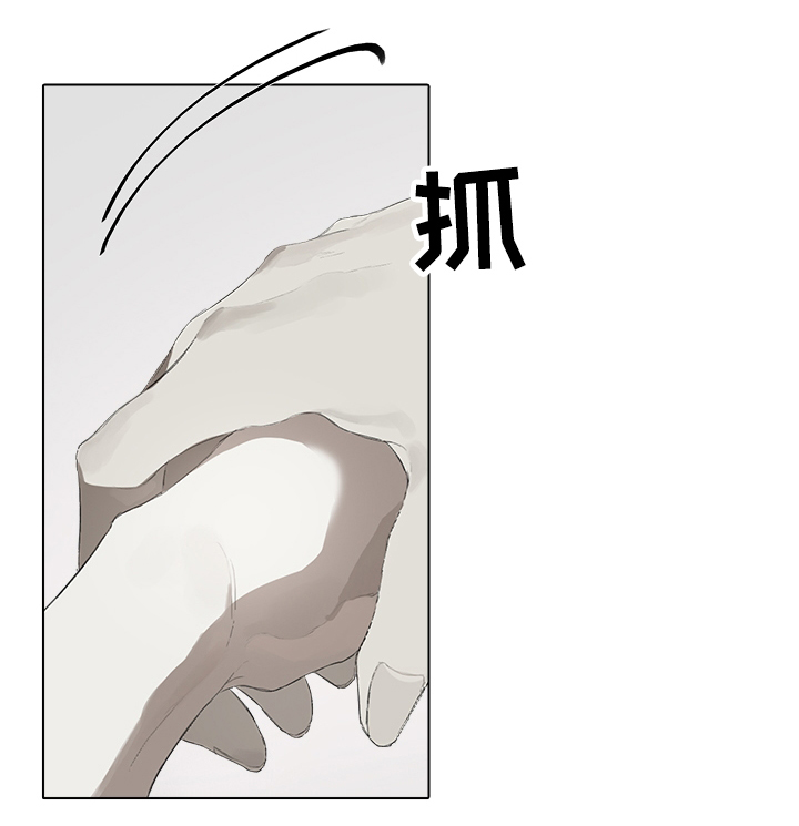 第51章：补偿10
