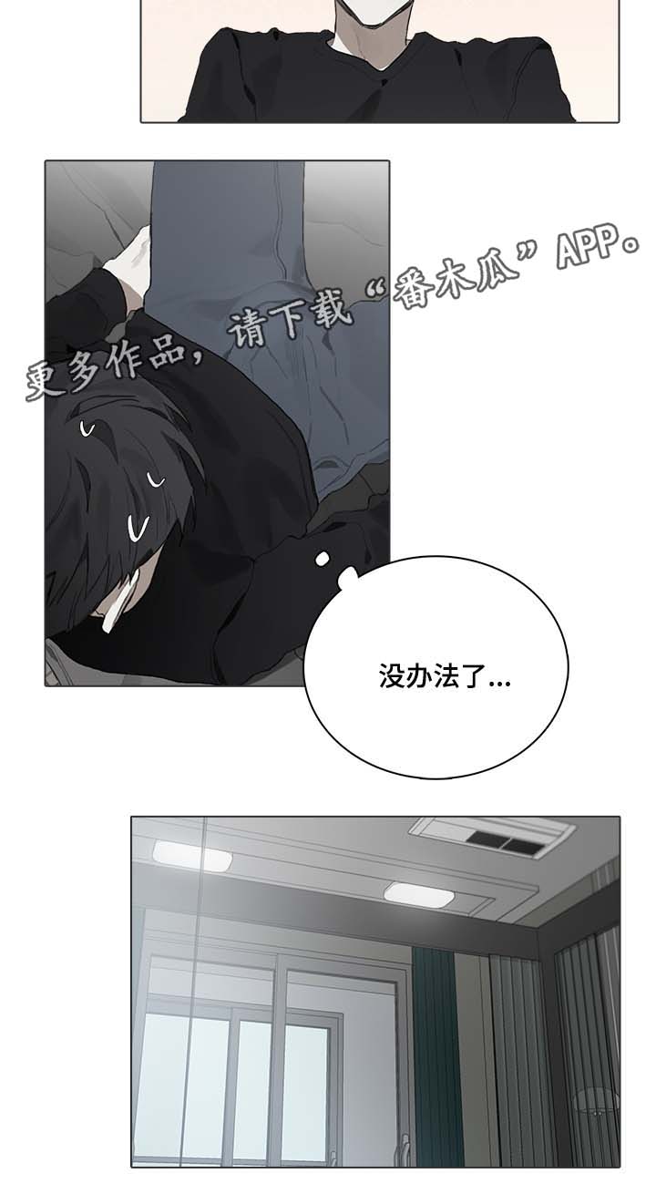 第48章：国外演奏会8
