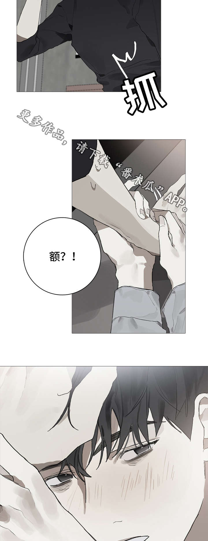 第12章：照料8