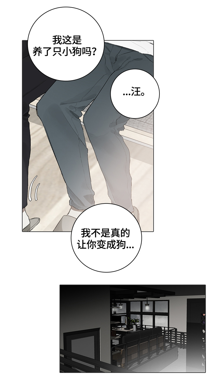 第62章：代替12