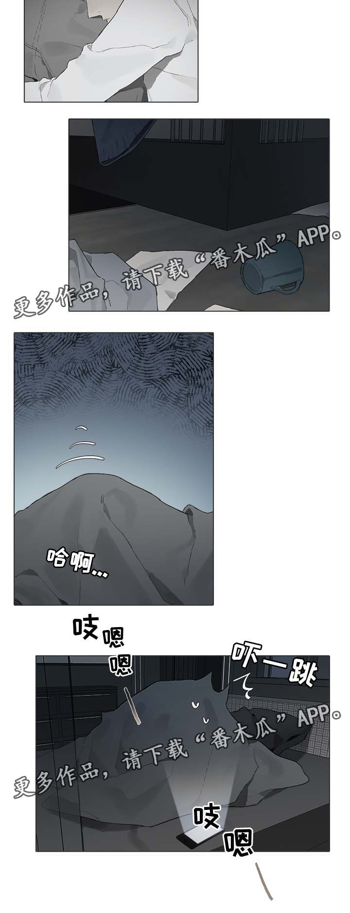 第47章：视频5