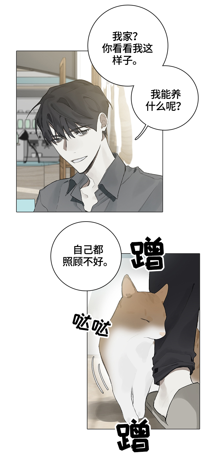 第62章：代替10