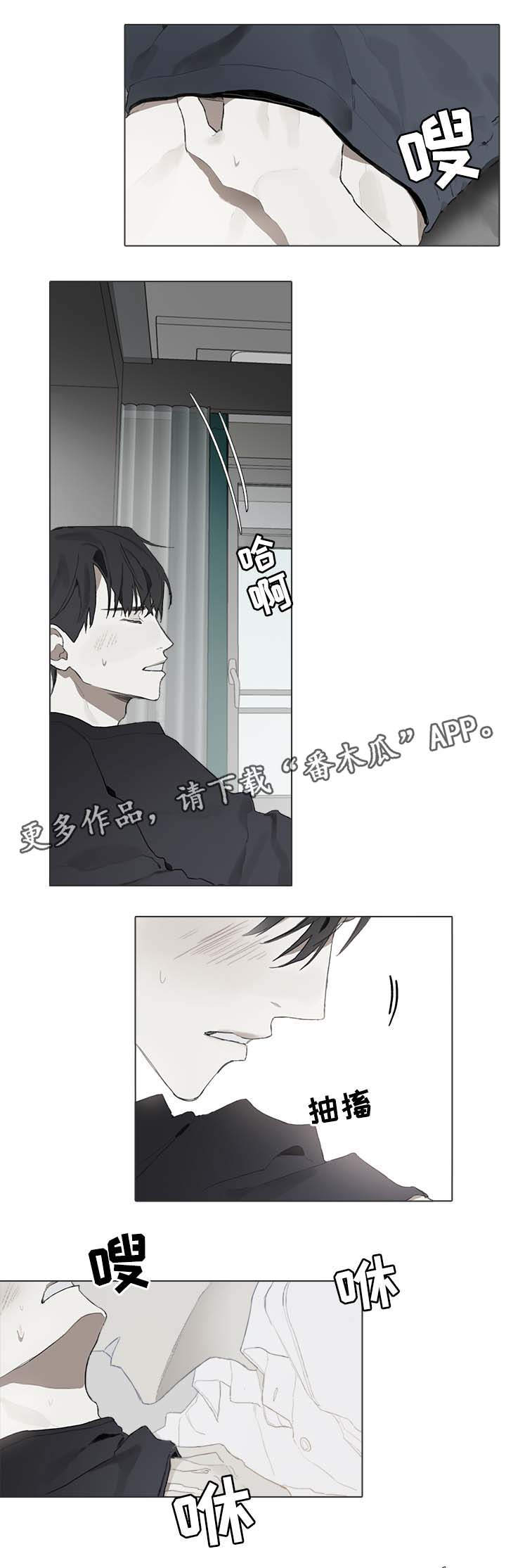 第48章：国外演奏会9