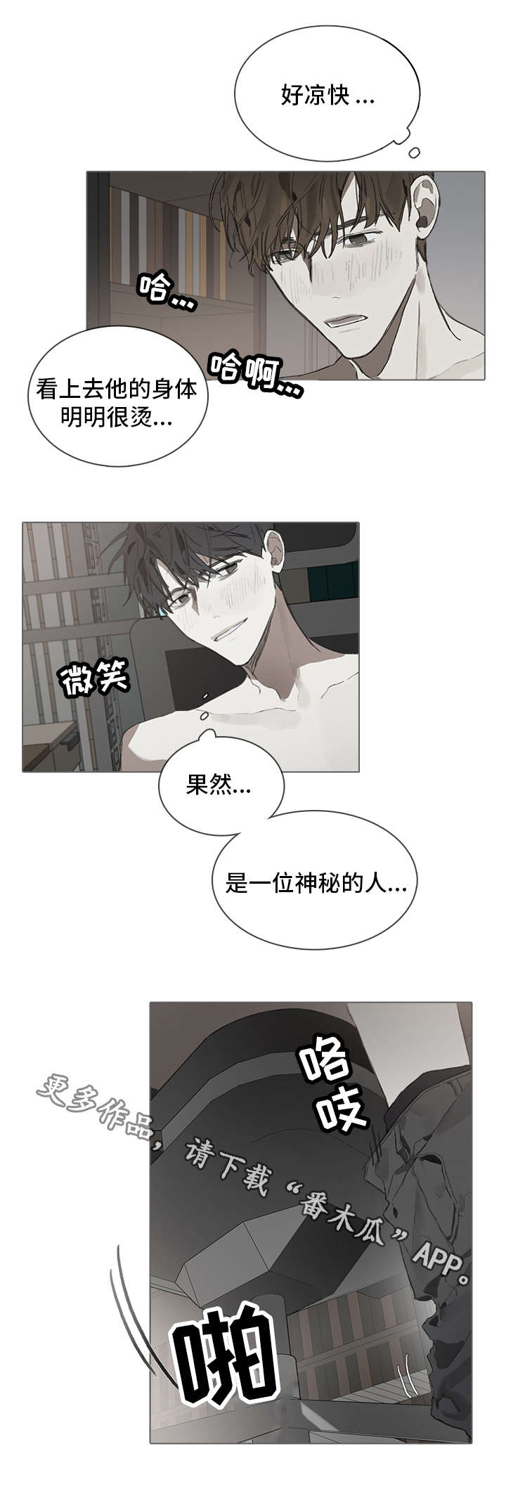 第36章：神秘12