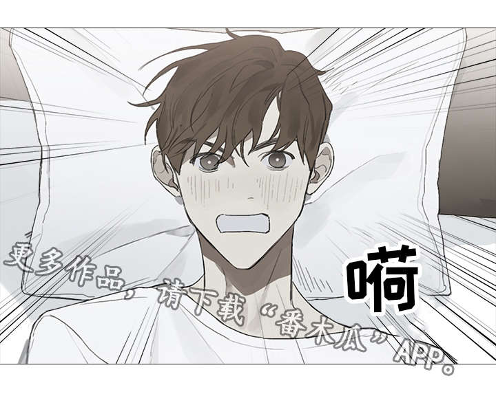 第17章：单纯9