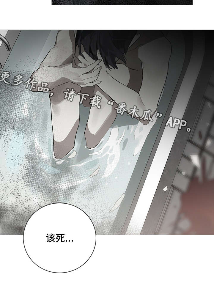 第5章：阴影16