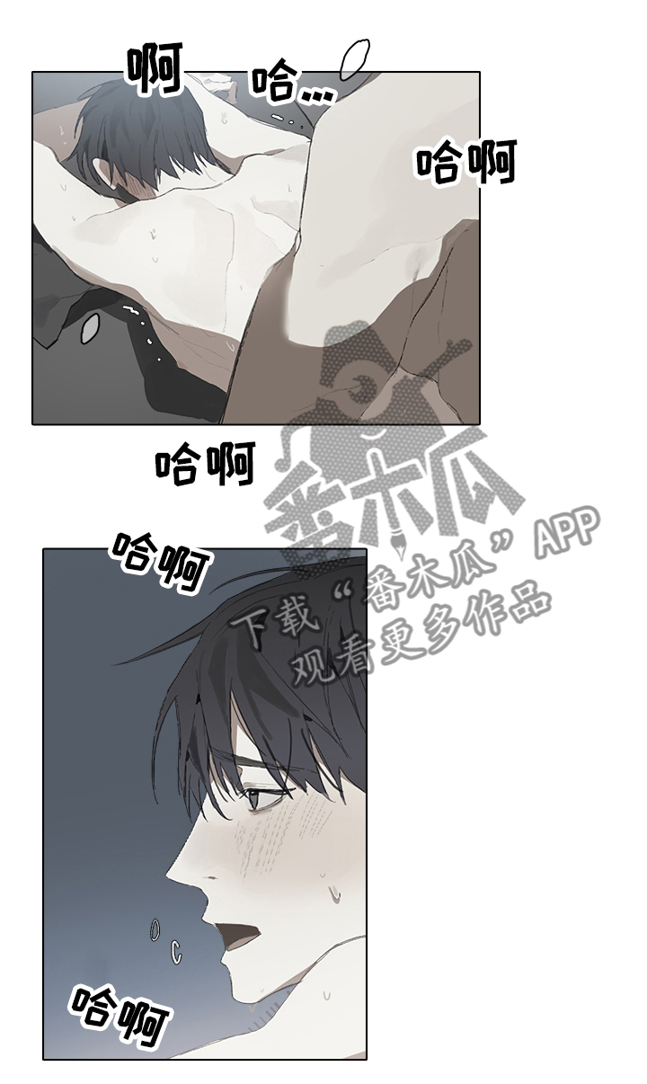 第51章：补偿8