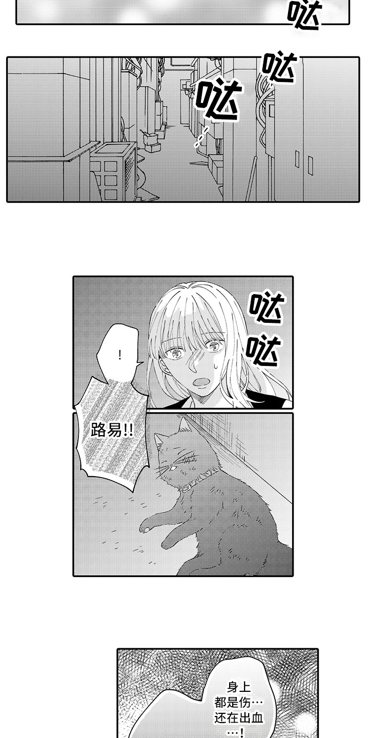 第20章：求救3