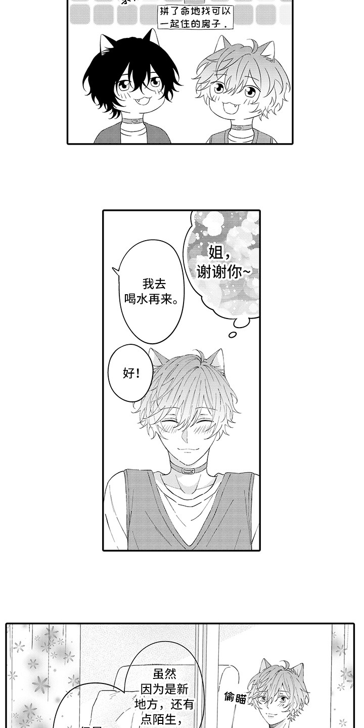 第22章：新家5