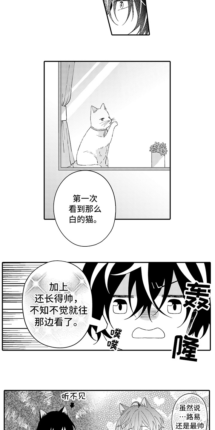 第22章：新家11