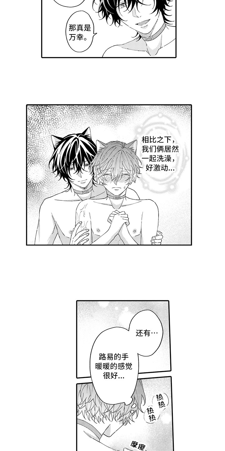第13章：洗一洗5