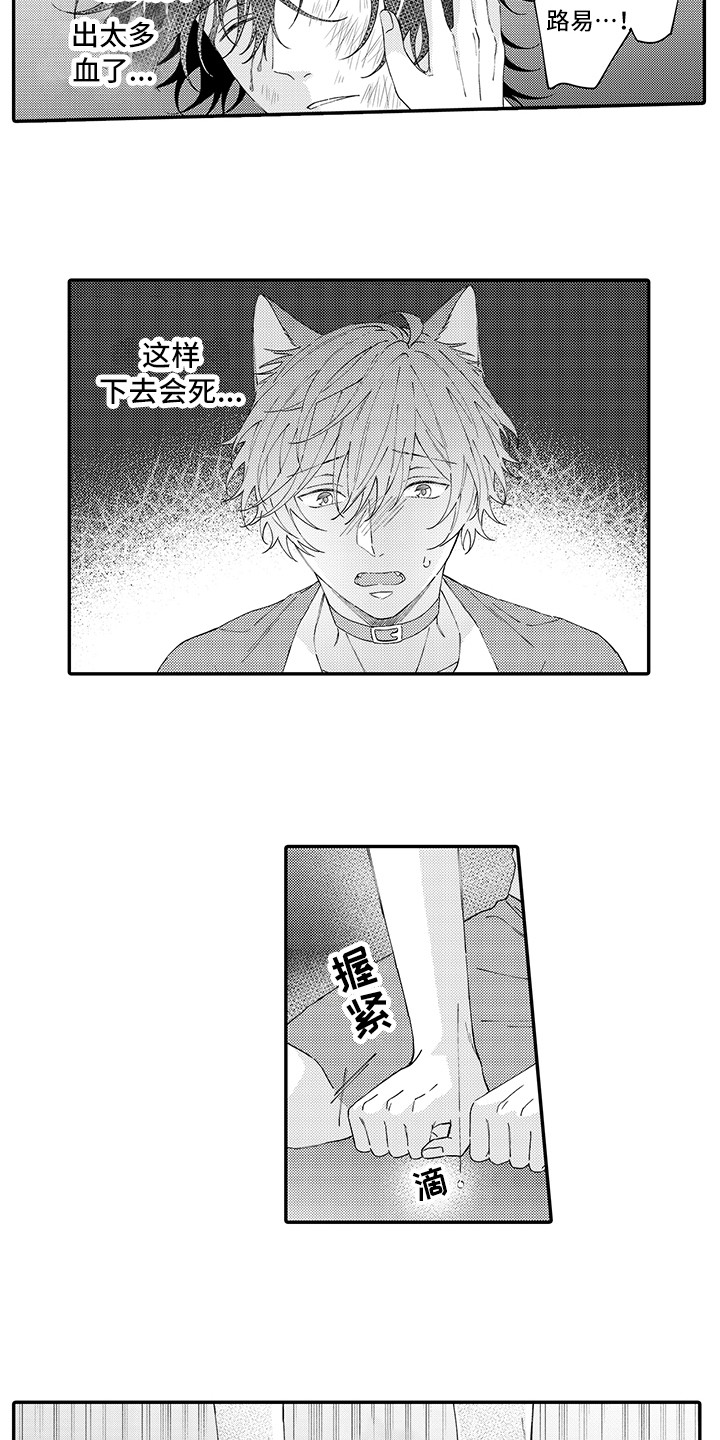 第18章：受伤了11