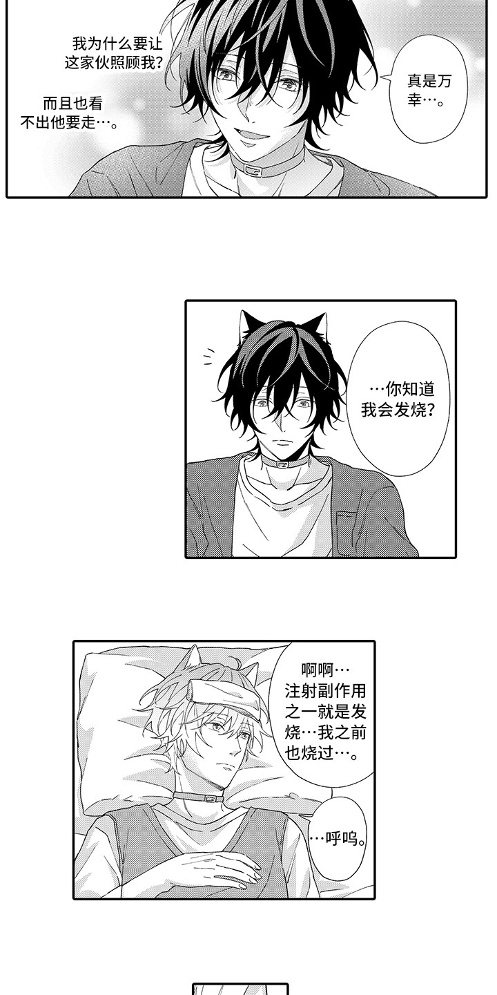 第3章：发烧5