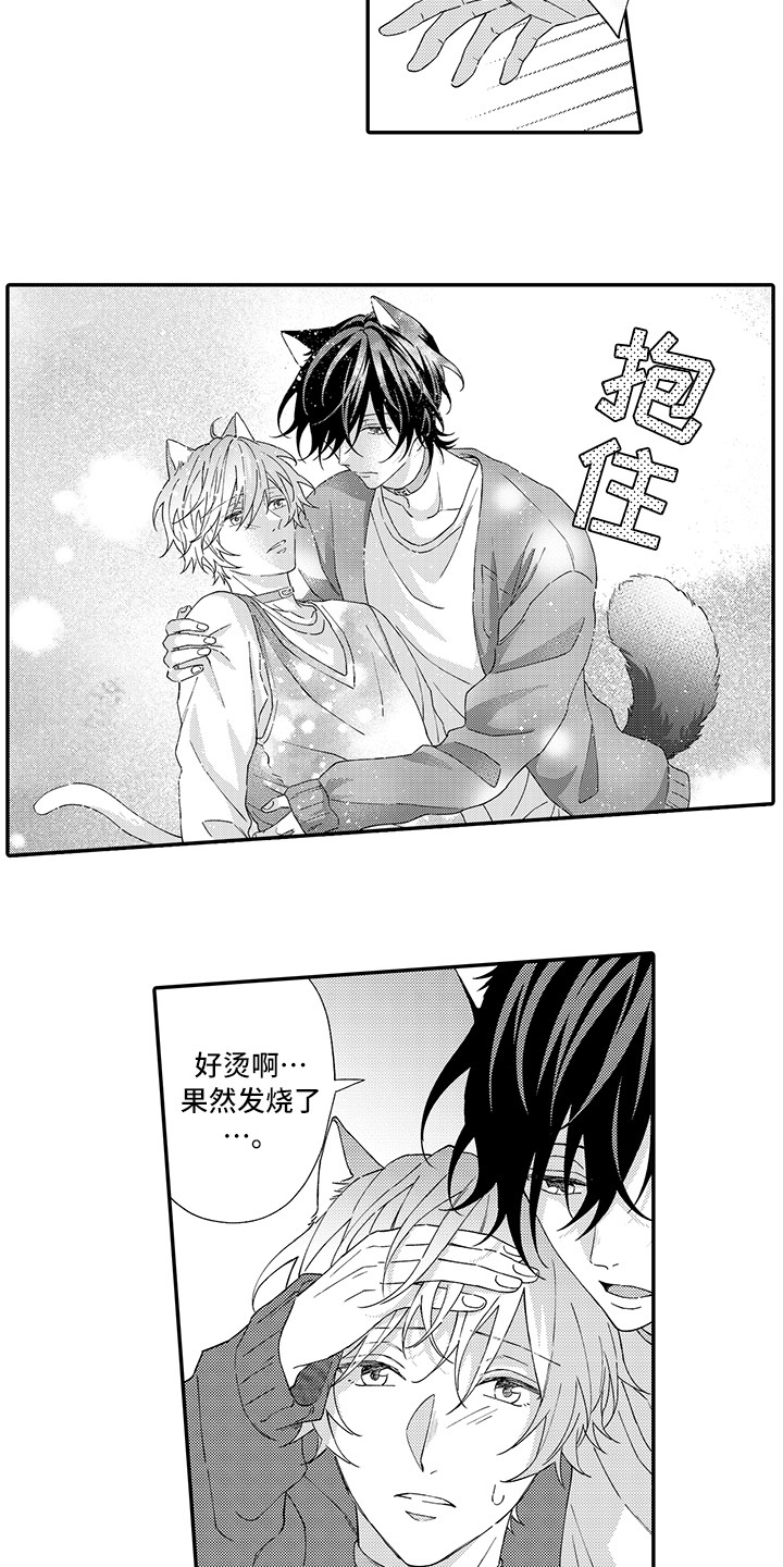 第3章：发烧2
