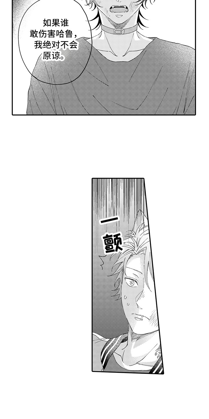 第17章：保护13