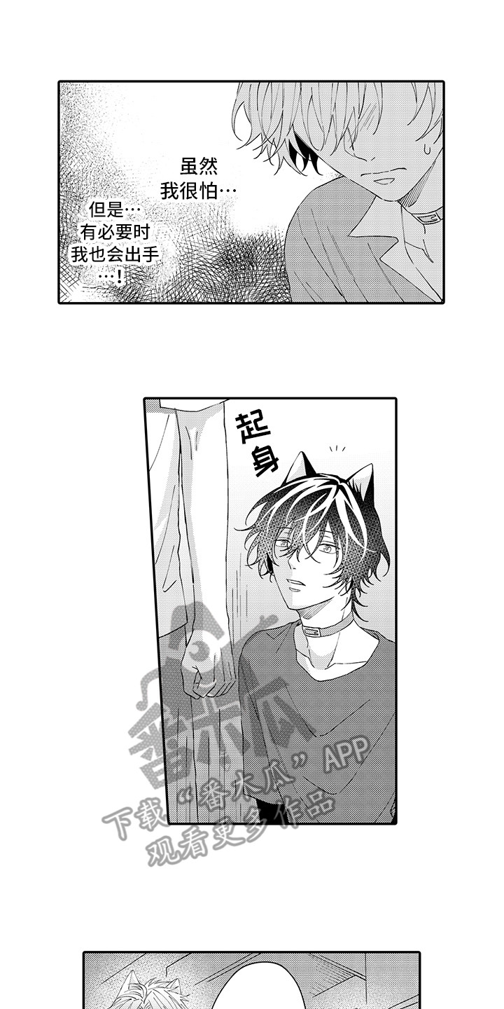 第17章：保护4