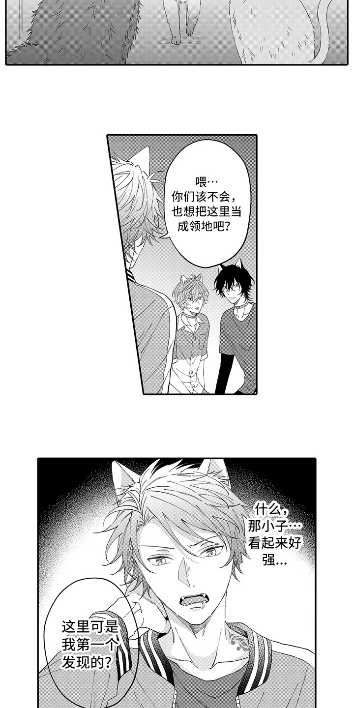 第17章：保护1