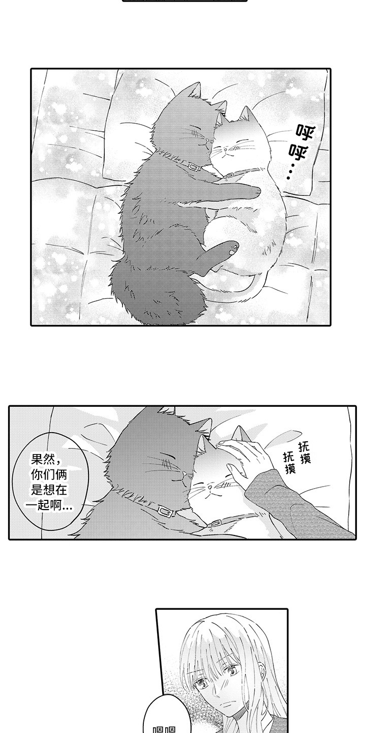 第21章：下决心11