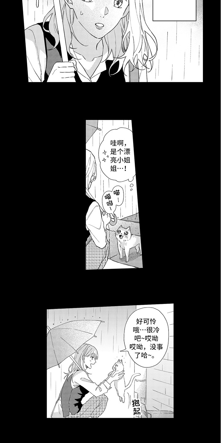 第1章：两只小猫7