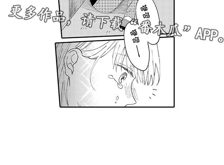 第19章：急切12