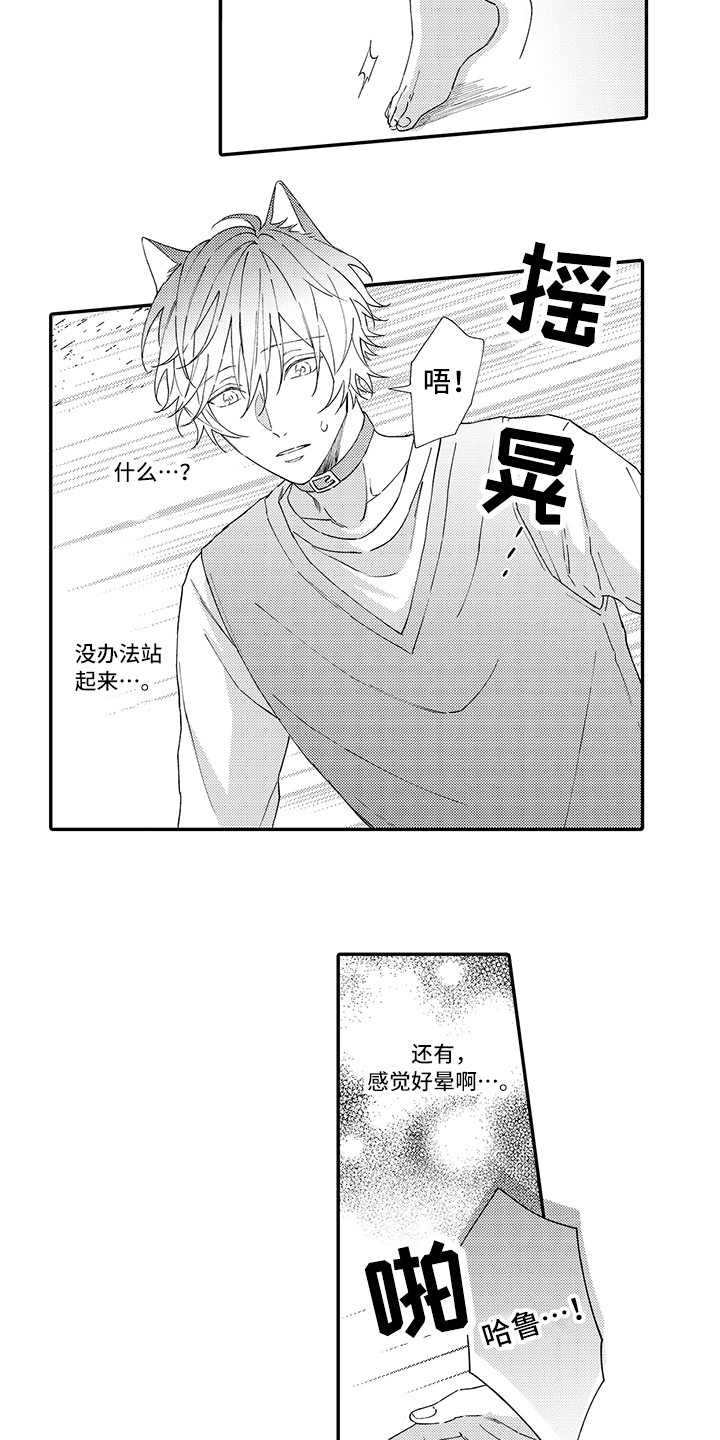 第3章：发烧1