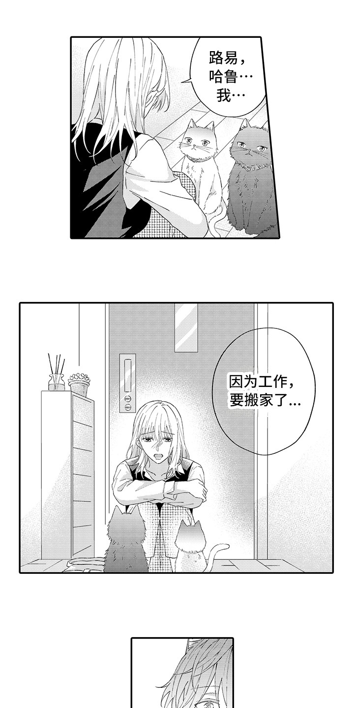 第15章：坏消息5