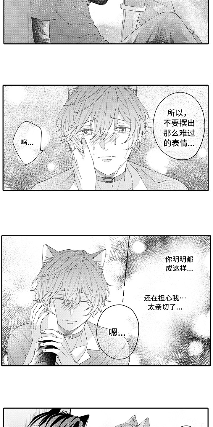 第18章：受伤了5