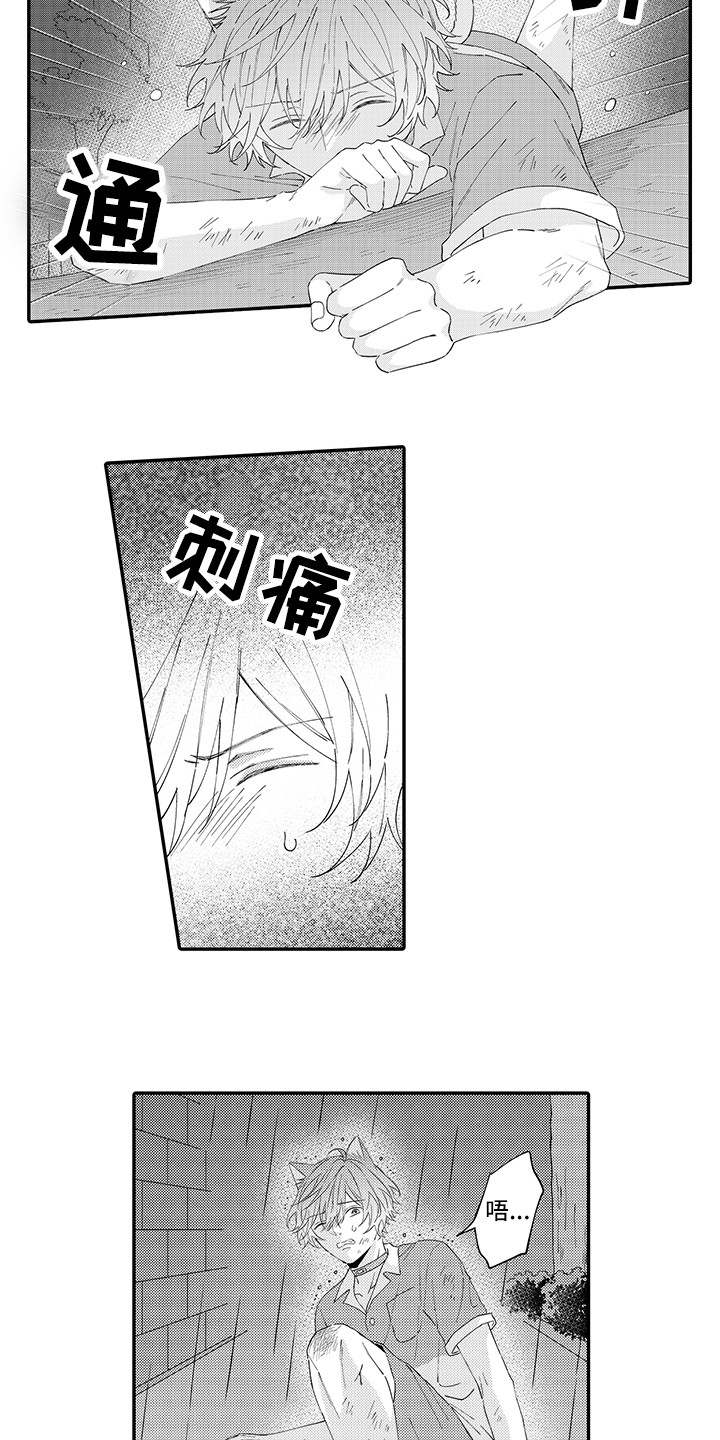 第19章：急切5