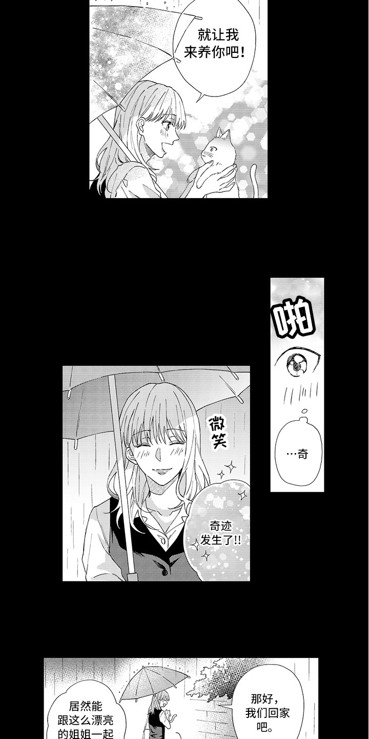 第1章：两只小猫9