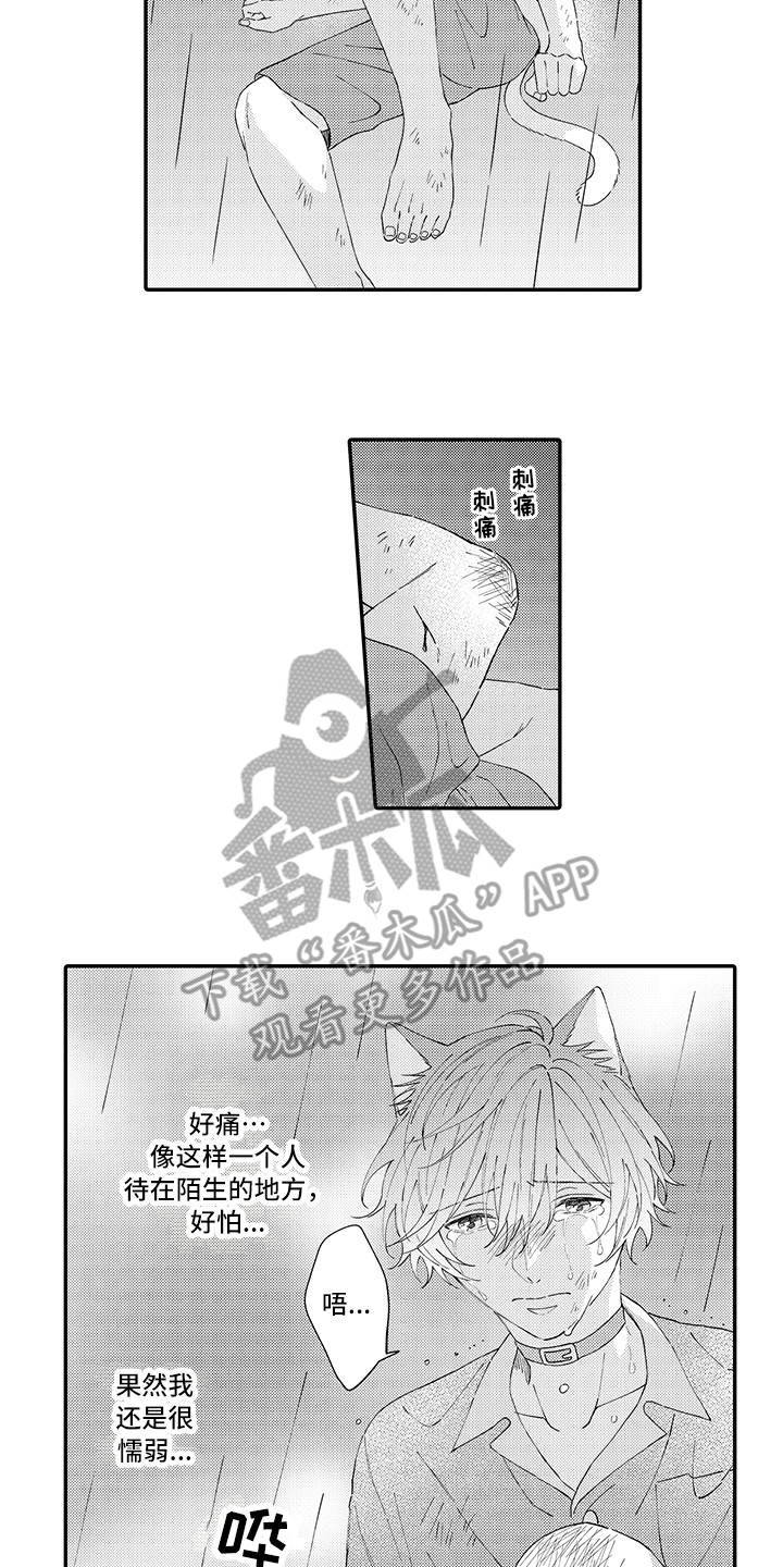 第19章：急切6