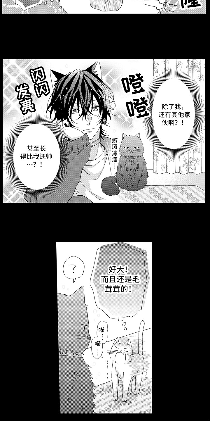 第1章：两只小猫11