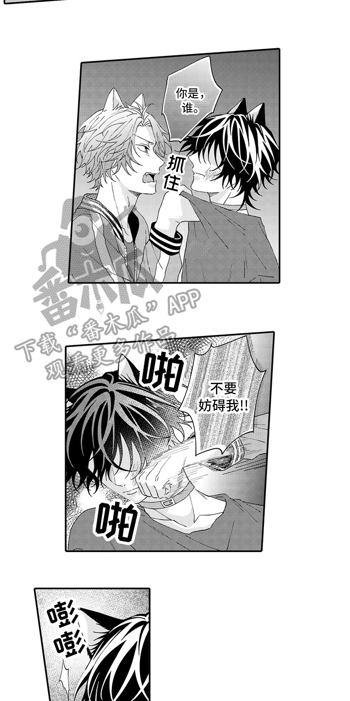 第17章：保护10