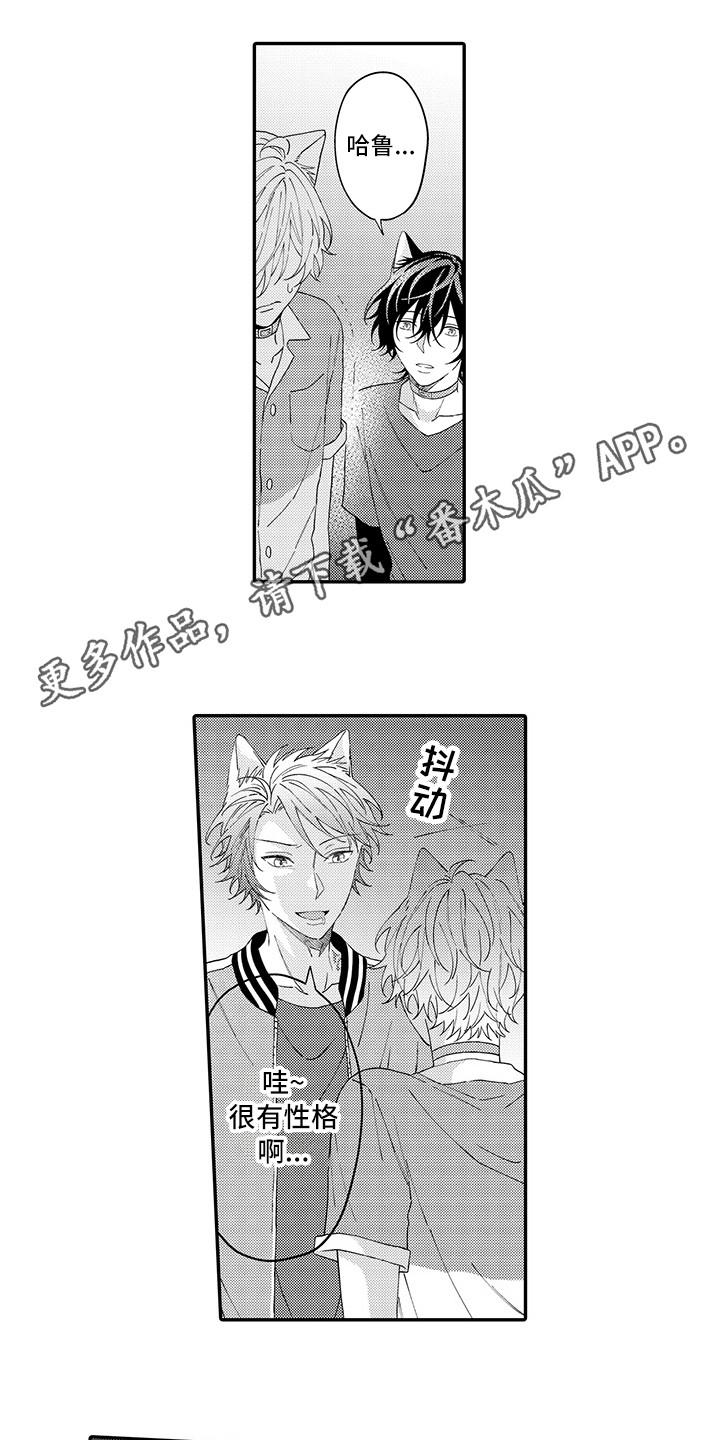 第17章：保护6
