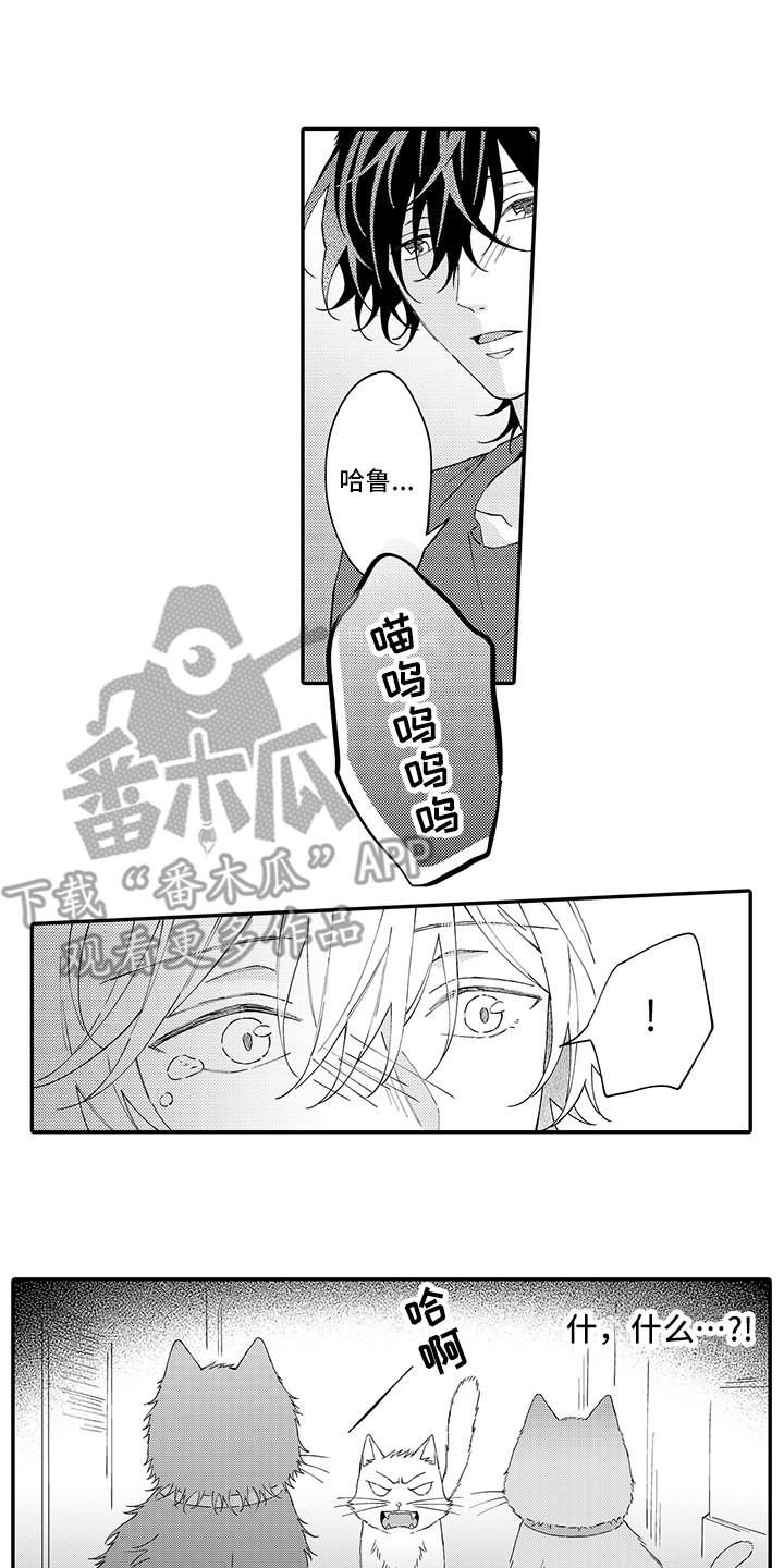 第17章：保护0