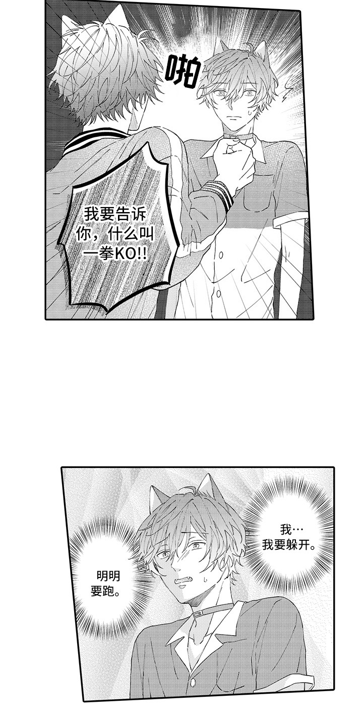 第17章：保护7
