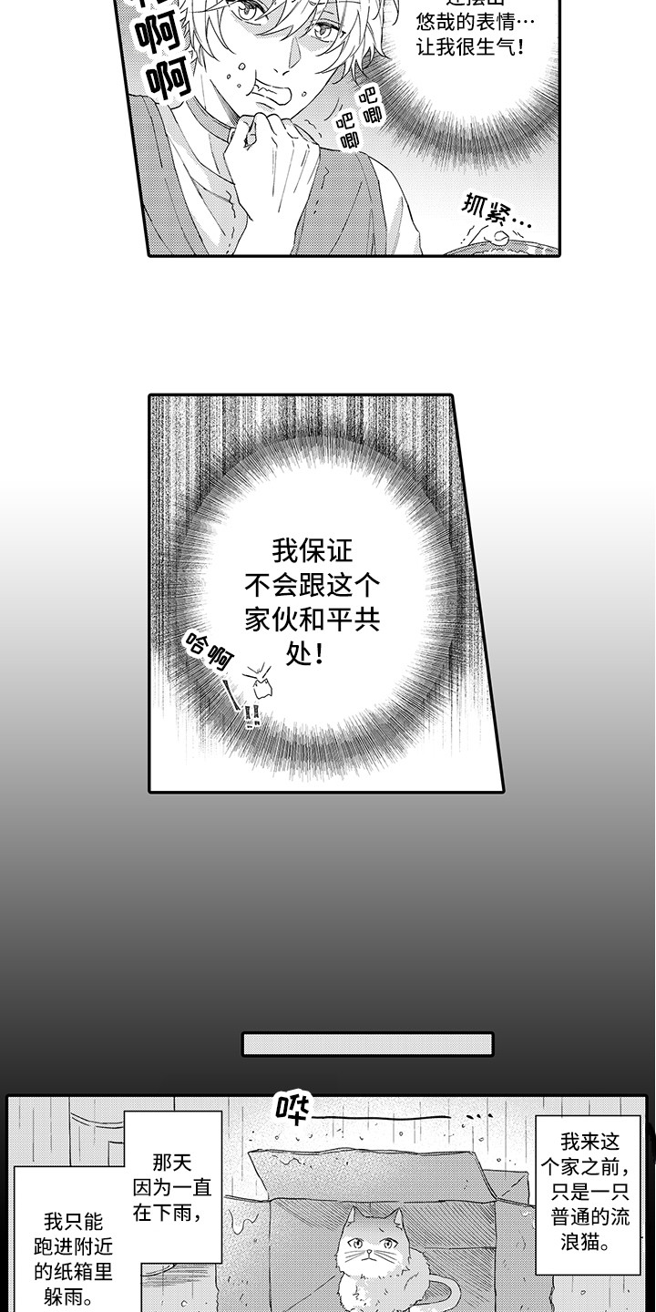 第1章：两只小猫5