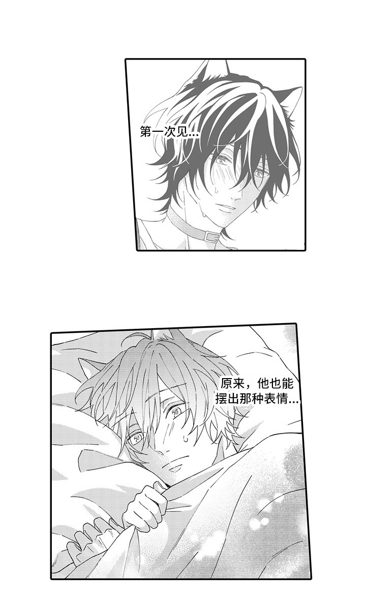 第4章：照顾11