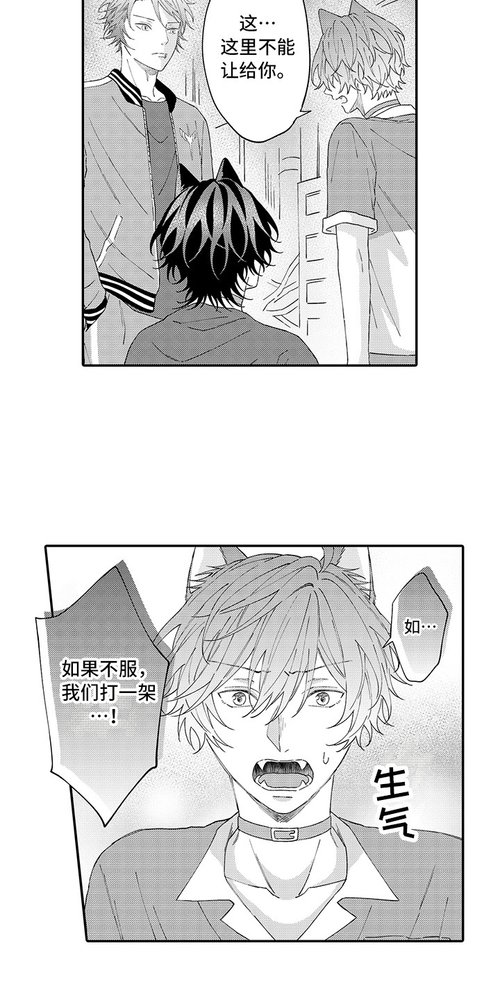 第17章：保护5