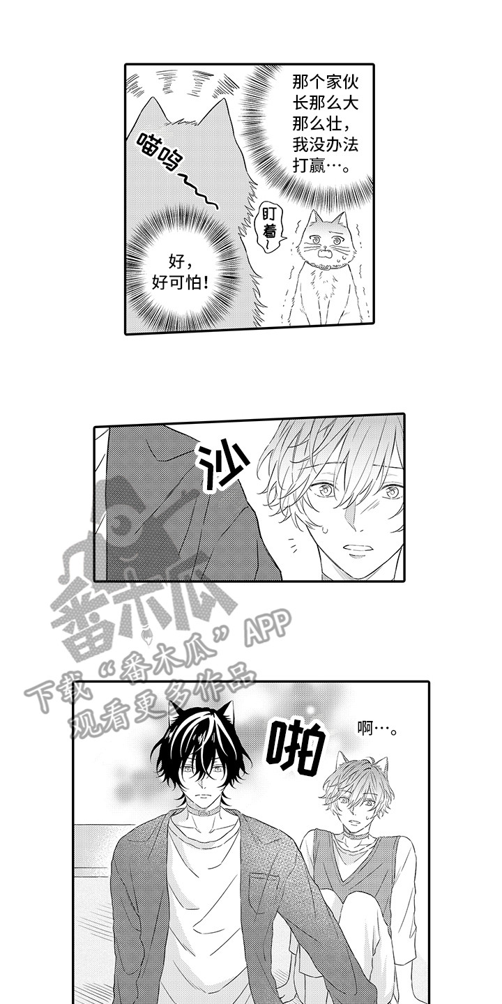 第8章：不再讨厌10
