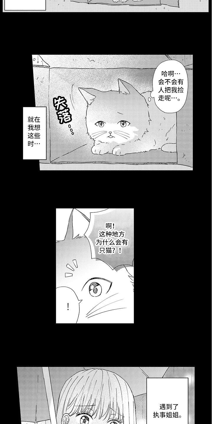第1章：两只小猫6