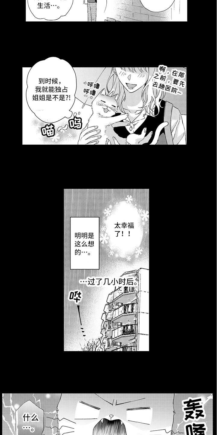 第1章：两只小猫10