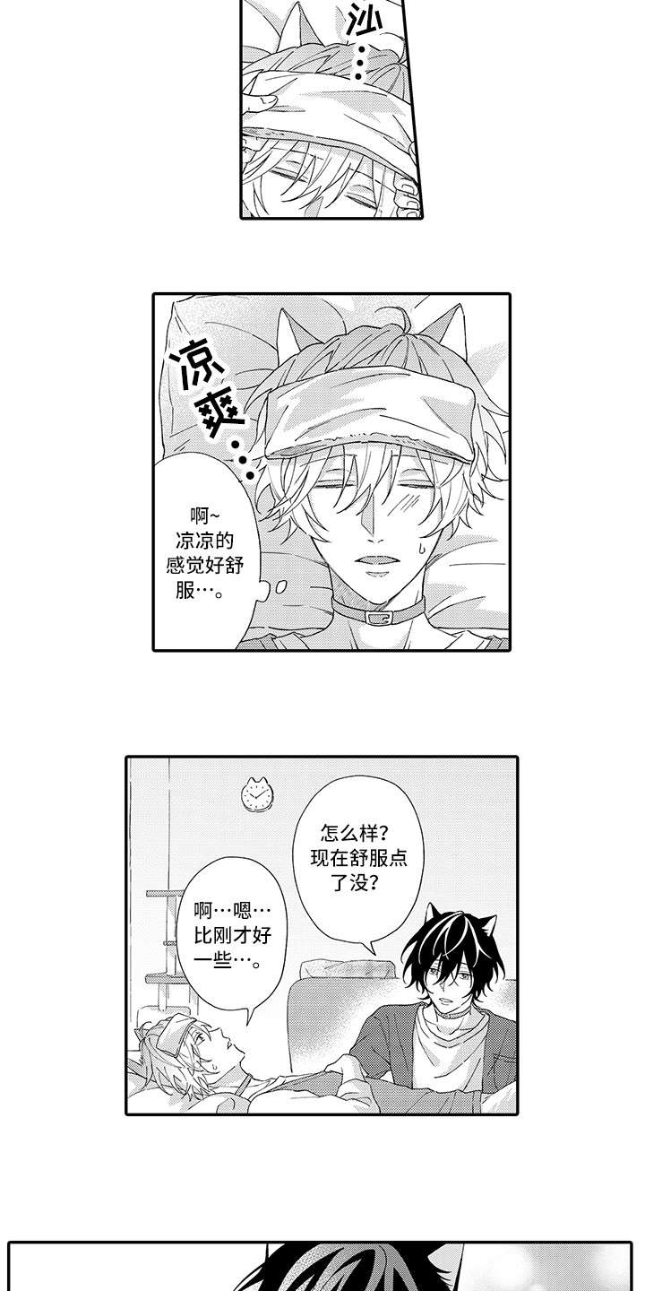 第3章：发烧4