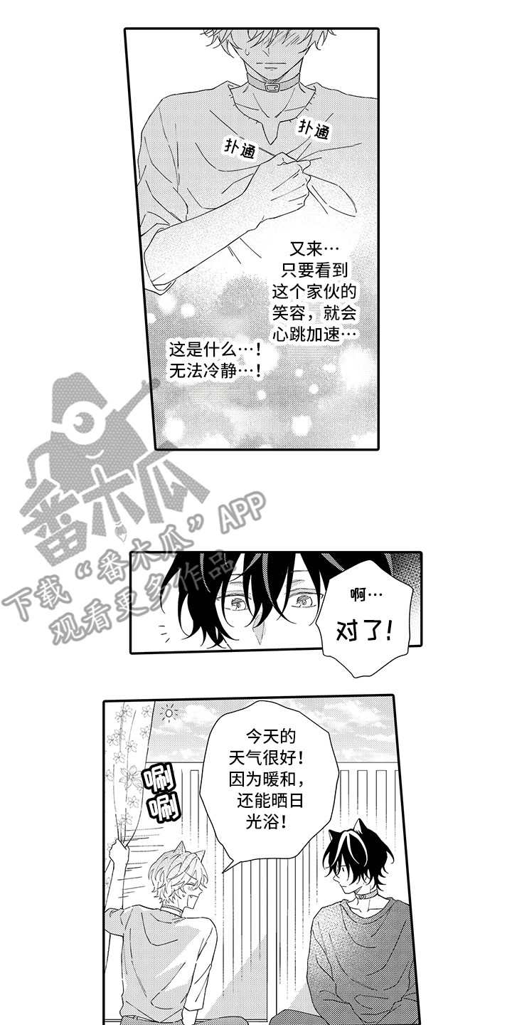 第6章：笑容8
