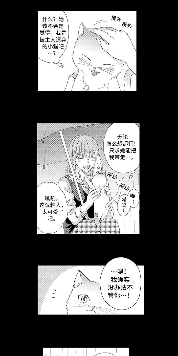 第1章：两只小猫8