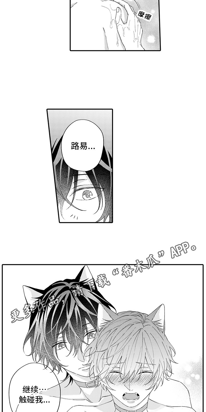 第13章：洗一洗6